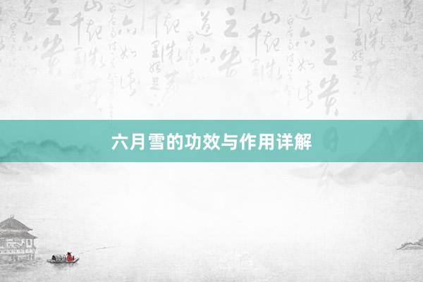 六月雪的功效与作用详解